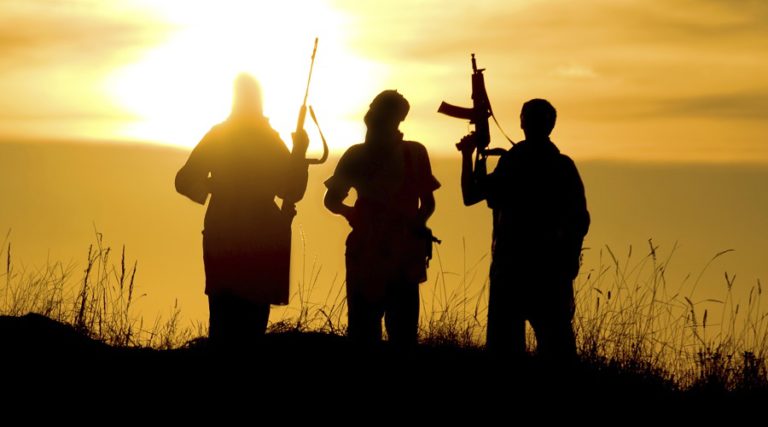 Special Police officers who left the force to join Hizbul behind the orchard killings in Kashmir: Reports