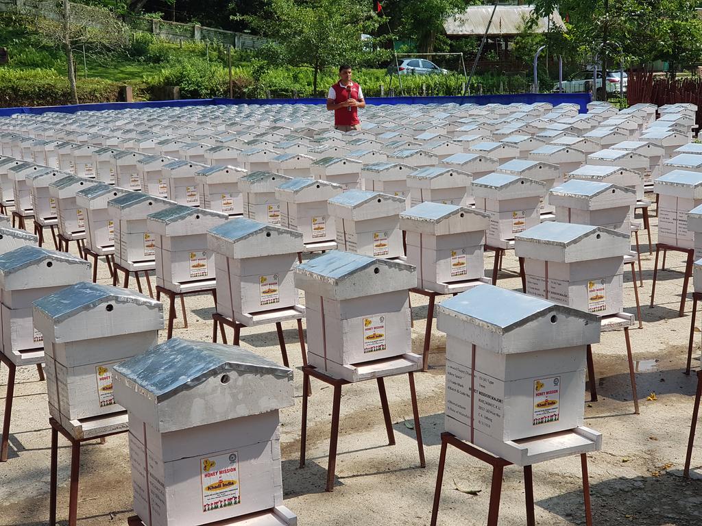 KVIC targets to distribute 1,30,000bee boxes in country by November 2018
