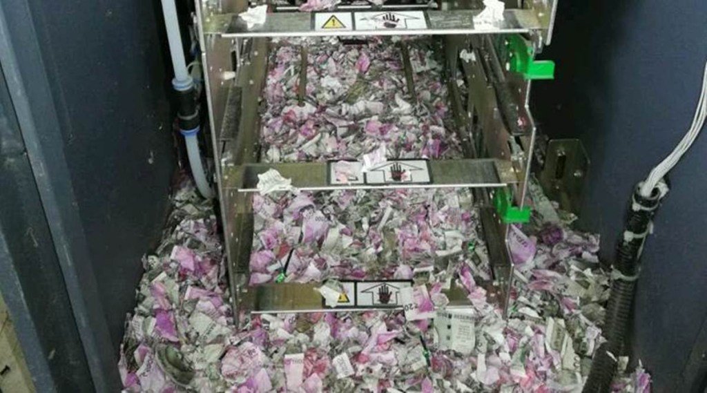 mice chew through notes worth 12.38 lakhs in Assam
