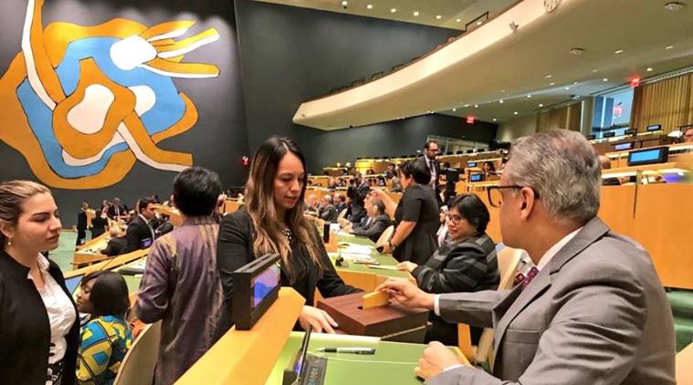 Permanent representative to the United Nations Syed Akbaruddin