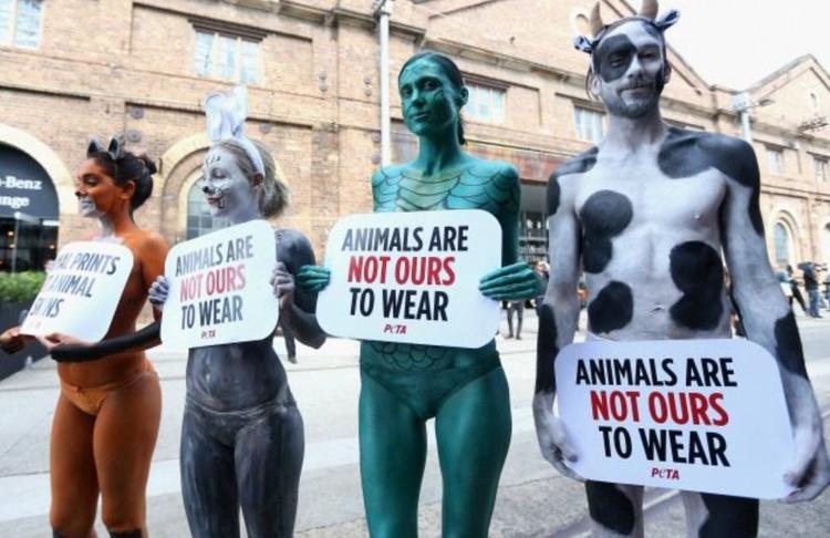 Turning guilt-tripping into an art form, PETA adds ‘speciesism’ to list of humanity’s crimes on par with racism and homophobia