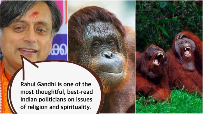 Shashi Tharoor finds Rahul as thoughtful, best read Indian politician