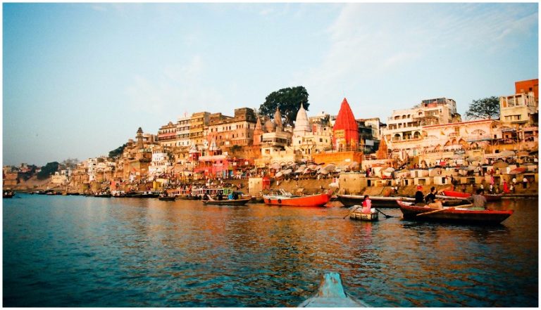 Aquatic life in Ganga to blossom once again, thanks to the cleaning measures