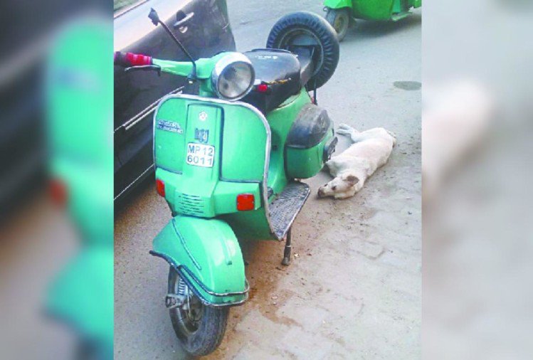 Ghaziabad: Stray dog, mother of five puppies, raped and dragged to death by Nafees and Tauseef