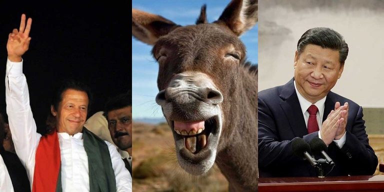 Pakistan has something in abundance that China needs desperately – Donkeys