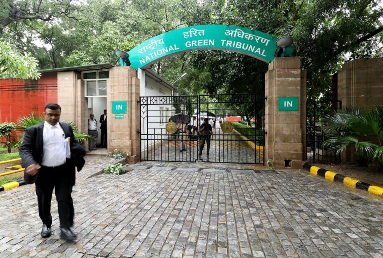 NGT raps PIL activist over frequent filing of petitions, asks to disclose the source of litigation funding