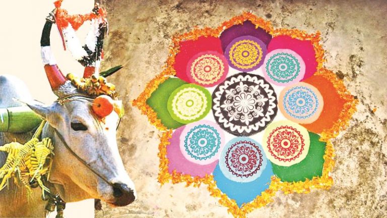 Makar Sankranthi, Bihu, Pongal or Lohri: India celebrates the festival with many names and vibrant traditions