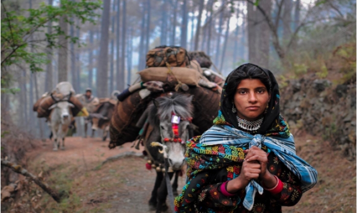 Budget 2019: Government to identify nomadic and semi-nomadic tribes to include them in social welfare schemes