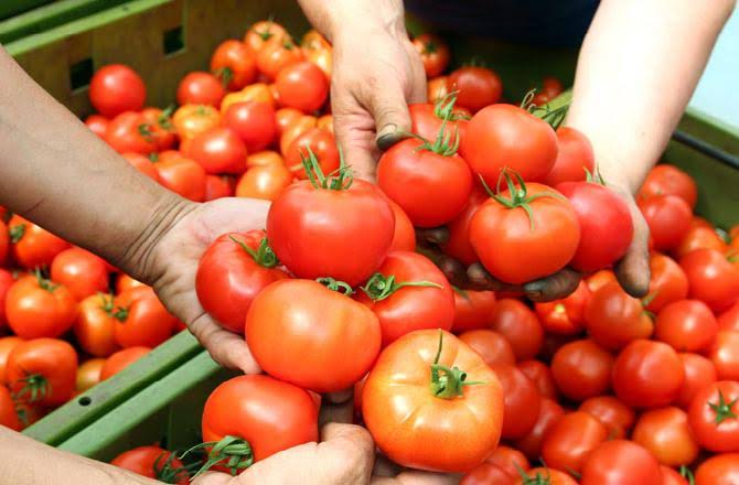 Ahead of Eid, tomato prices touch 200 Rs per Kg in Pakistan
