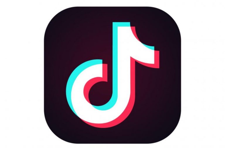‘TikTok damages Indian culture,’ Tamil Nadu minister seeks ban on popular social media app