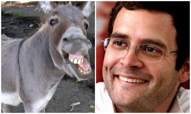 ‘Gadhon ka Sartaj’ is the new name for Rahul Gandhi, as ‘Pappu’ is too affectionate: BJP MLA Akash Vijayvargiya