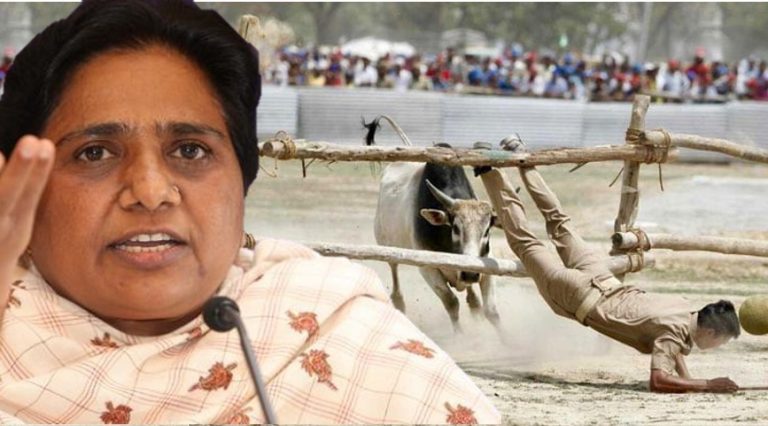 Mayawati says that stray animal’s entry in SP-BSP-RLD rally in Kannauj was part of a BJP conspiracy