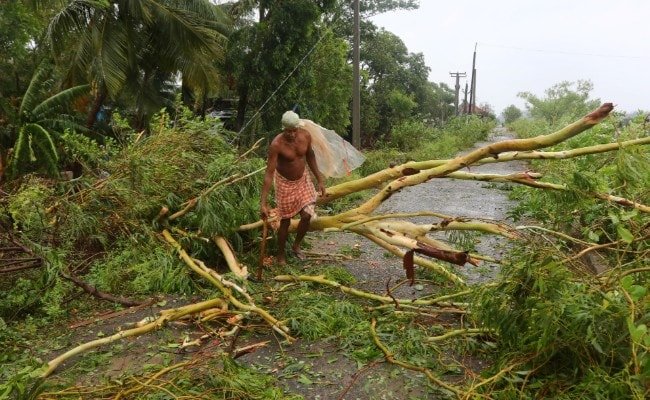 Cyclone Fani: How a state was ravaged and how it pulled together to fight Mother Nature’s fury