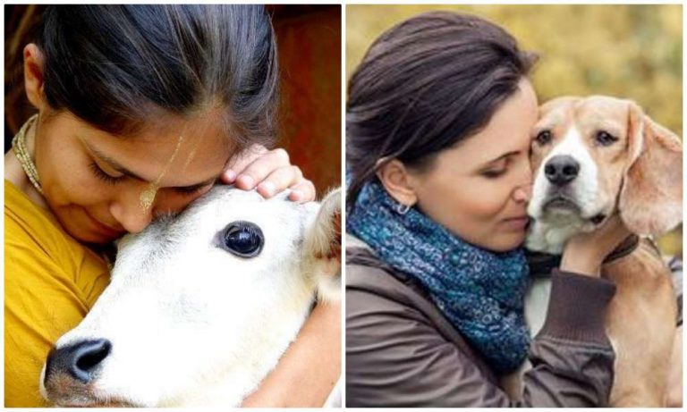 If protein is all that matters then dog meat has served as the nutritional needs of the terribly downtrodden since the times of the Gita