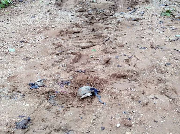 Chhattisgarh: Lightening strike triggers more than 50 IED blasts, laid by Maoists to ambush security forces