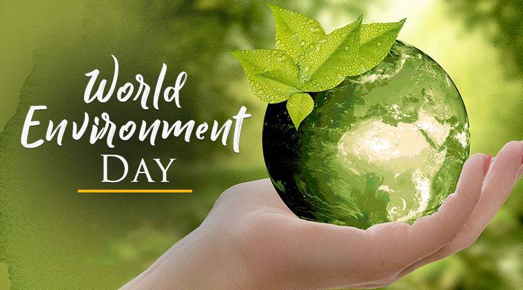 World Environment Day: Environment ministry urges people to plant trees, launches #selfiewithsapling campaign
