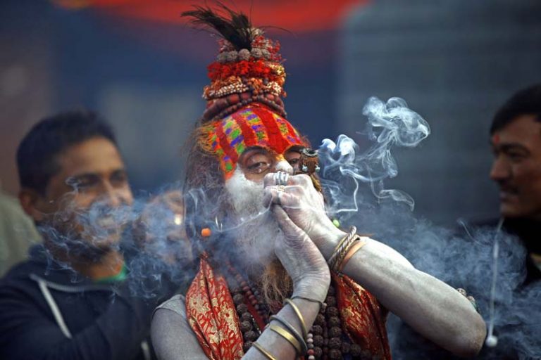 Petition filed in Delhi High Court challenging the prohibition and criminalization of Marijuana, lists medical uses of cannabis