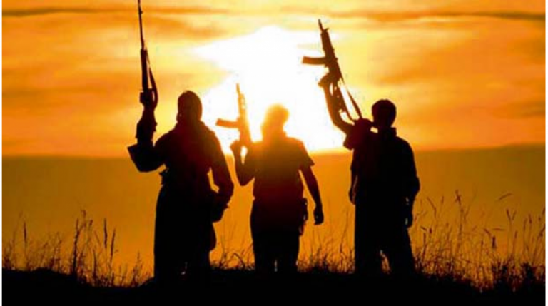 A dangerous turn: ‘Scholars’ and ‘celebrities’ cross the boundaries of mere hypocrisy and ally with a convicted naxalite