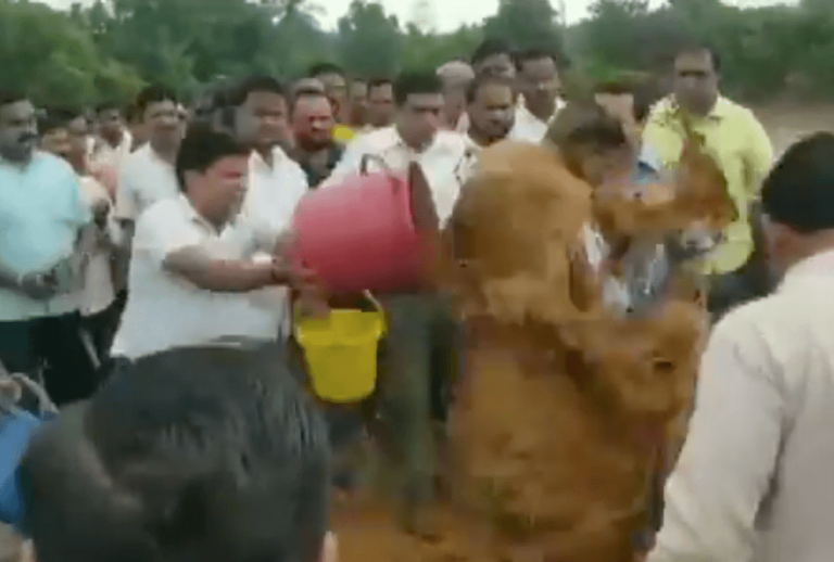 [Video] Congress MLA Nitesh Narayan Rane and his supporters caught on camera assaulting, throwing mud at an engineer