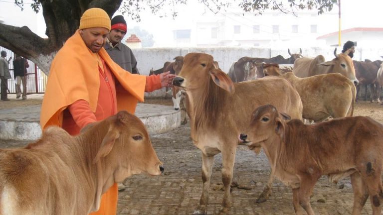 Upset over death of cows Yogi Adityanath suspends 8 officers for negligence, 3 others sent show cause notice