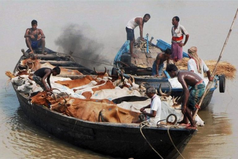 One BSF jawan killed and another injured in clashes with cattle smugglers along Bangladesh border