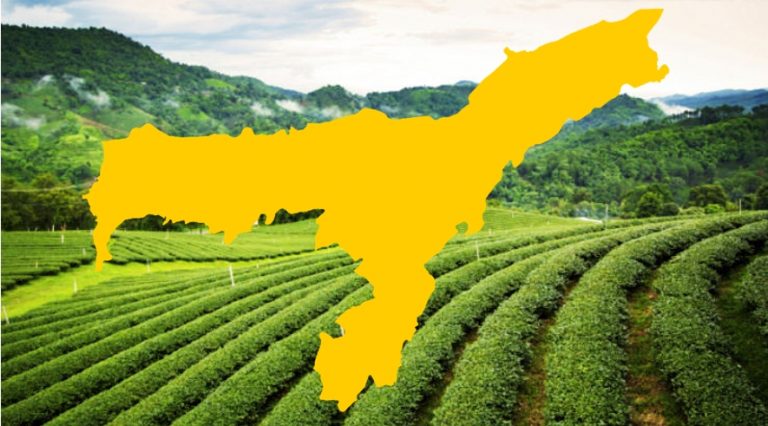 Reports of Assam put under Protected Area category incorrect, no such order issued: Home Ministry