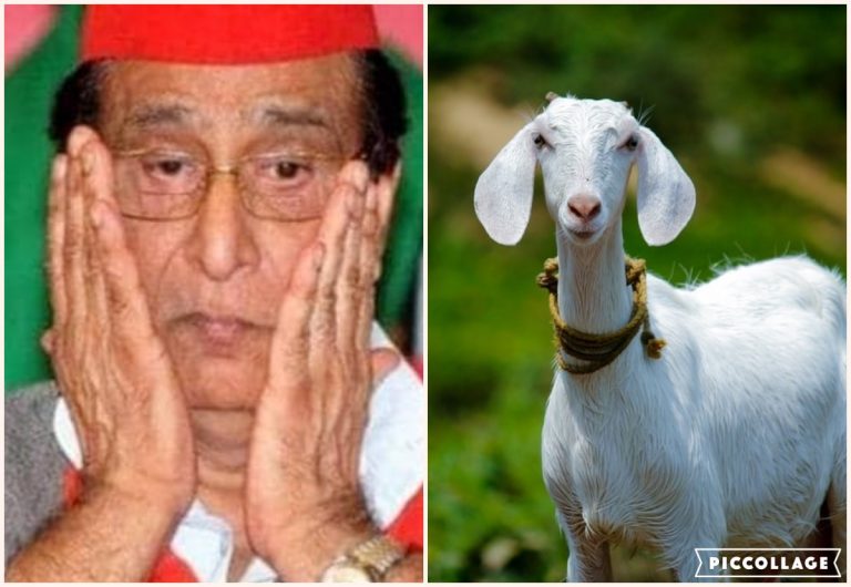 After buffaloes, Samajwadi Party leader and land mafia Azam Khan now booked for stealing goats