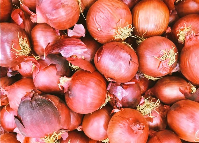 Amidst price rise and shortage, government bans onion export