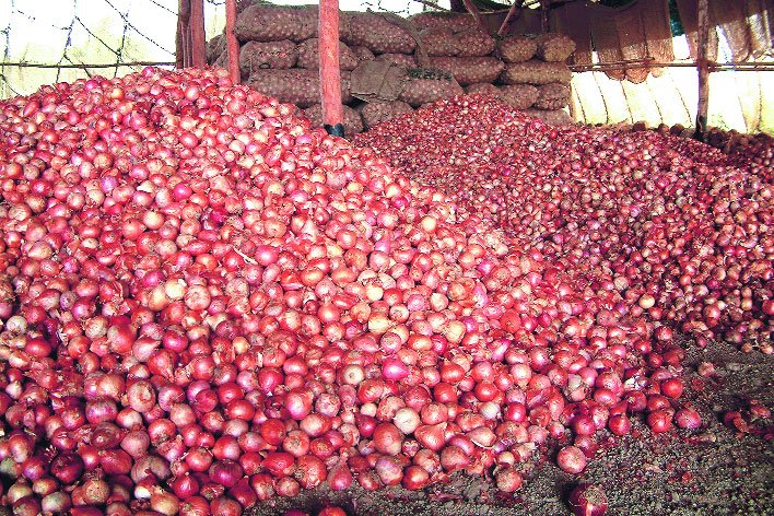 MMTC revises onion import tender notice to exclude Pakistan as origin country