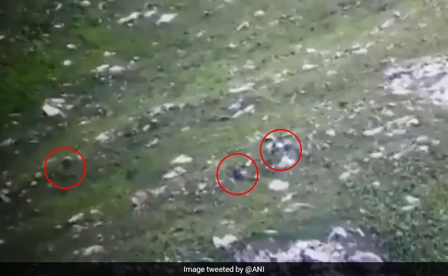 Watch: Pakistani terrorist trying to infiltrate into India at the LoC in Kashmir’s Kupwara