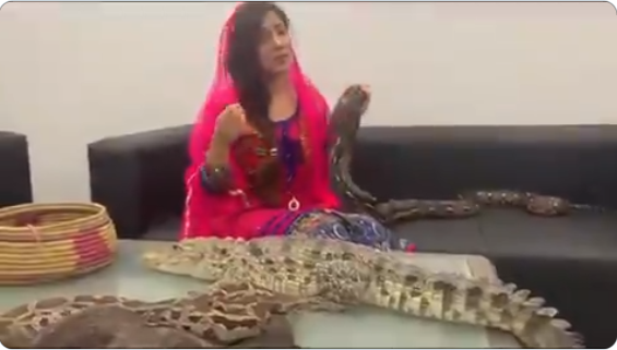 Pakistani singer Rabi Pirzada threatens snake attack against Indians, especially PM Modi, for abrogation of Article 370