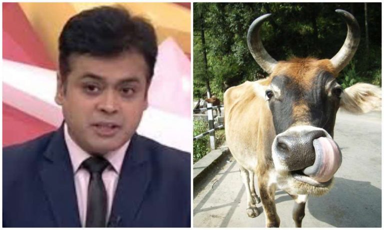 Cow has become cause of terror for some: Abhisar Sharma’s deranged rant on cows is also factually incorrect