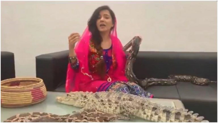 Pakistani singer who threatened PM Modi with python, now faces jail time for keeping exotic animals in her salon