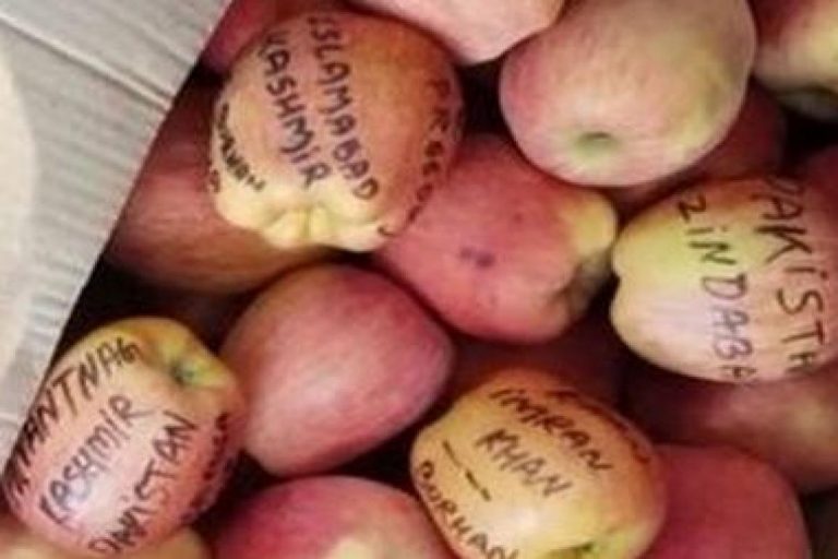 ‘I love Burhan Wani’, ‘Zakir Musa come back’, apples with anti-India and pro-Pakistan messages found in Kathua, Jammu & Kashmir