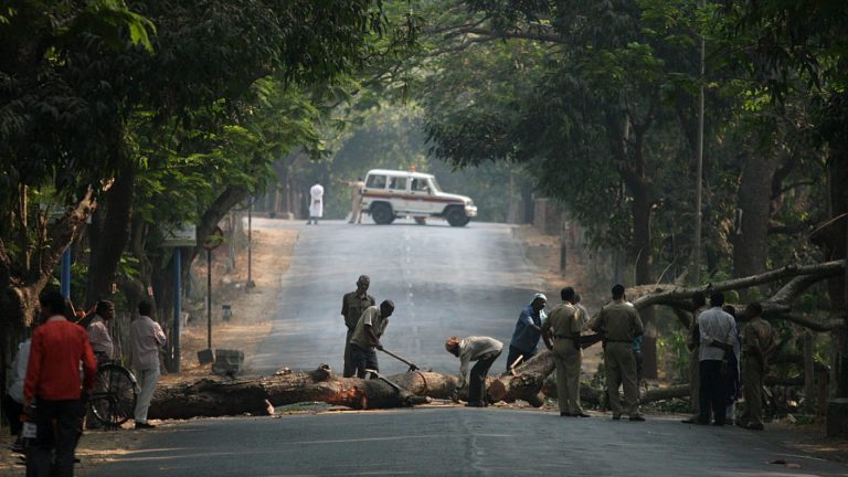 2141 of 2185 trees cut in Aarey Colony for car shed, no more trees to be cut and construction will start: Mumbai Metro Corporation