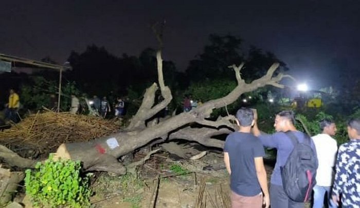 As Mumbai Metro starts cutting trees in Aarey Colony following HC’s green signal, activists spread new lie of 15 days waiting period