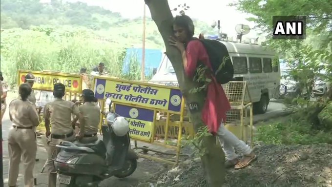 Aarey activist hugs random roadside tree outside Aarey, Twitterati demands Rs 50 be cut for ‘overacting’