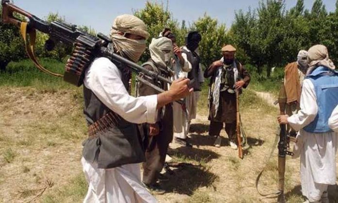 Pakistani Taliban finds its foot again in Pakistan