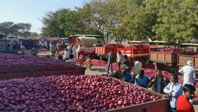 Onions in Lasalgaon market in Nashik