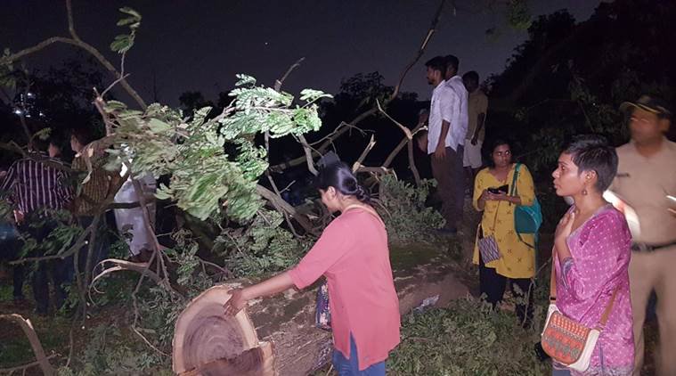 Amidst ruckus by activists, Mumbai metro authorities begin cutting the trees for proposed car shed, 800 trees cut till now