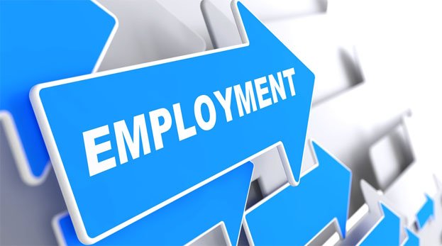 Recovery in employment generation, 4 million jobs created in last one year: Reports CMIE, known for its proximity to P Chidambaram