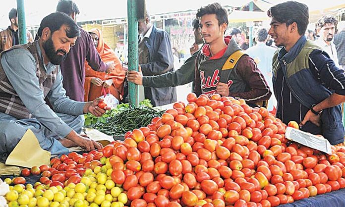 Pakistani farm owners deploy armed men to protect their tomato fields from being robbed by thieves