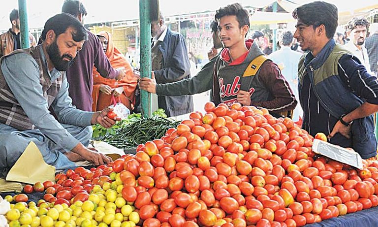 Pakistan: Owners deploy armed guards to protect tomato farms as thieves find innovative ways to rob tomatoes