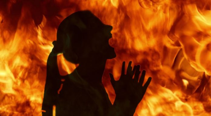 UP: Woman sets herself ablaze near state assembly