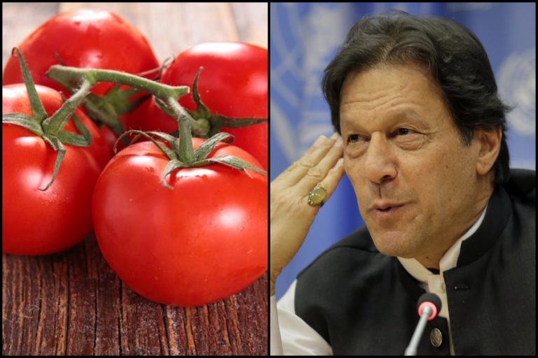 ‘PoK do, tamatar lo’: Madhya Pradesh farmers offer to resume tomato export to Pakistan, but with some interesting conditions