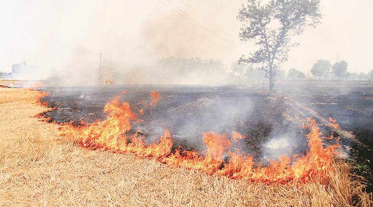 Why stubble burning suddenly became such a huge problem in recent years around Delhi, a few reasons