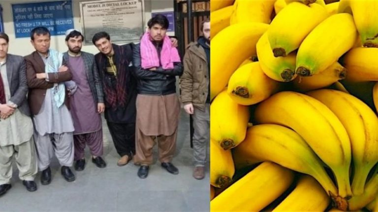 Delhi: 7 Afghan drug peddlers arrested at IGI airport, fed 120 bananas to help excrete 177 insoluble capsules of heroin worth Rs 10 crore
