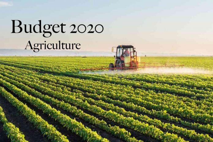 Budget 2020 (Agriculture)