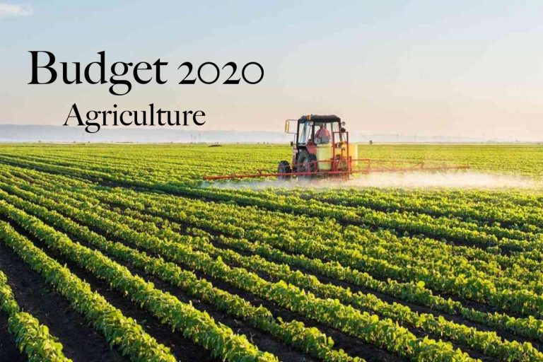 Now farmers can earn even from their barren lands: Here is Modi govt’s 16 point action plan for farmers in Budget 2020