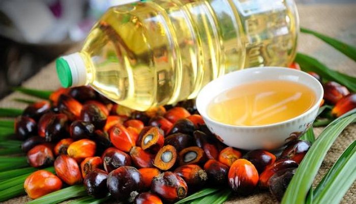 Baba Ramdev welcomes restrictions on Palm oil imports by Modi govt, says it will help farmers and domestic refined oil industry